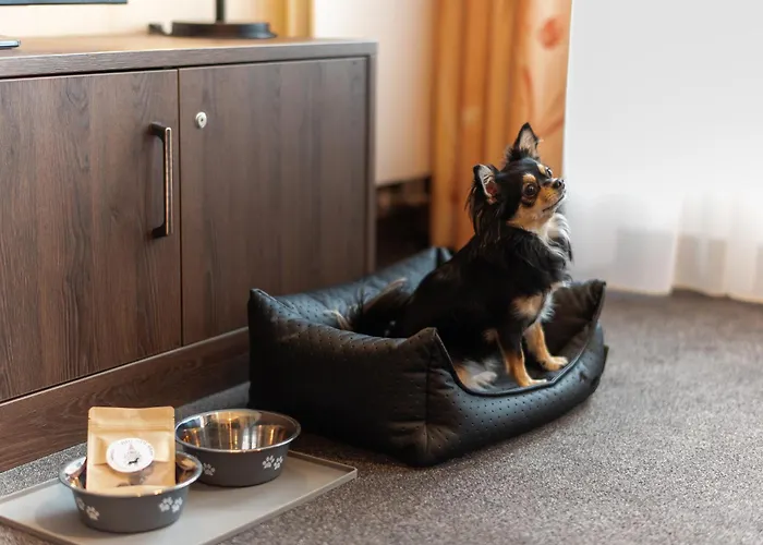 Familienapartment Am Neumarkt L *