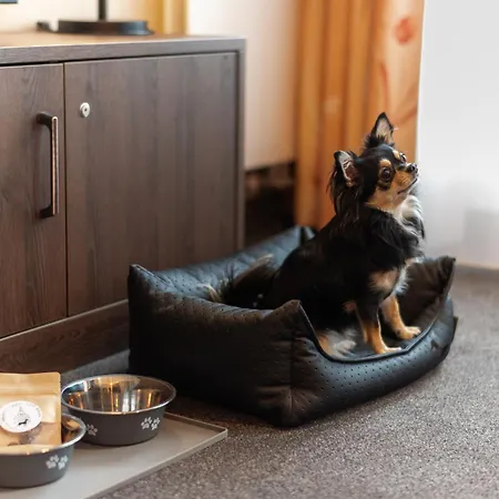 Familienapartment Am Neumarkt L *